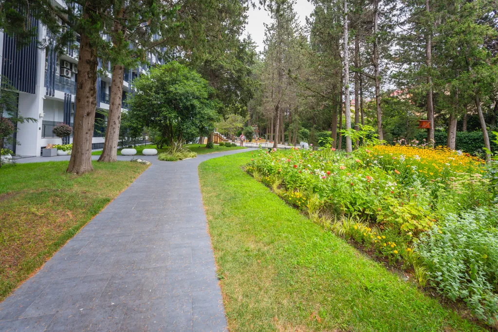 Апартамент Моне