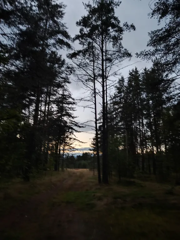 Загородный дом у озера