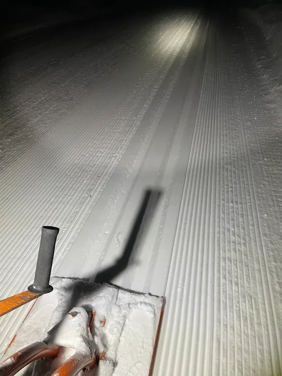 Дом лисья грива