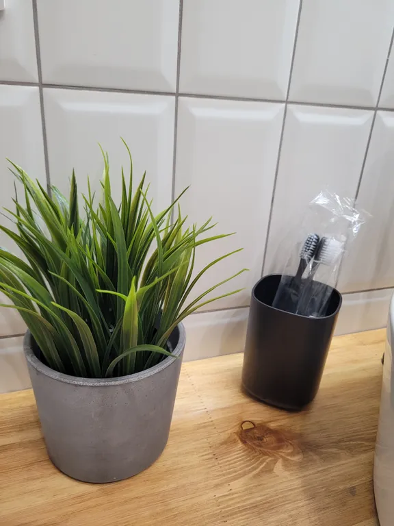 Квартира премиум класса с видом на лес