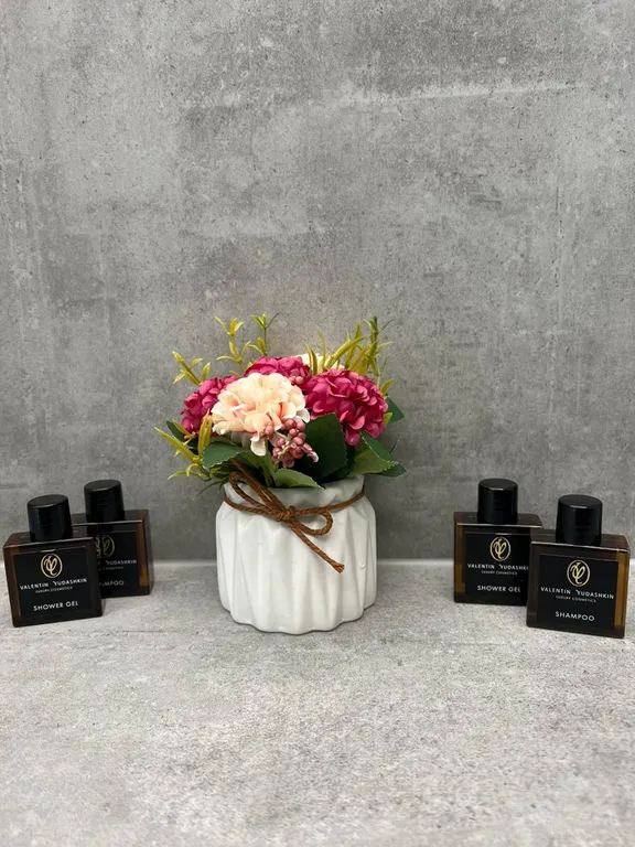 Квартира Комната — Сириус