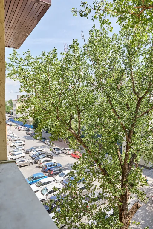 Студия в центре города, рядом парки, театры, учебные заведения