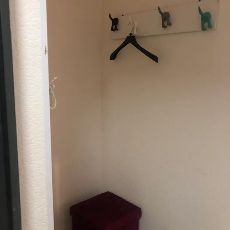 Квартира Однокомнатная квартира с видом на Смольный собор — Санкт-Петербург