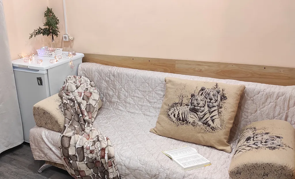 Студия с санузлом и зоной кухни