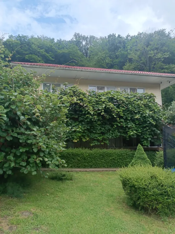 Квартира Квартира Уютные номера с видом на горы — Зубова Щель