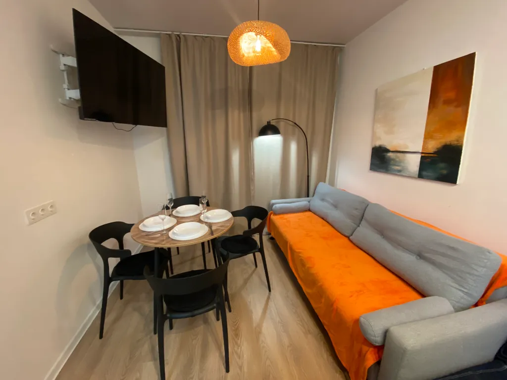 Красивая евродвушка в новом самолете