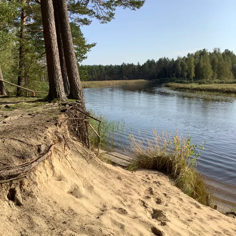 Коттедж Коттедж Селигерское — Березово