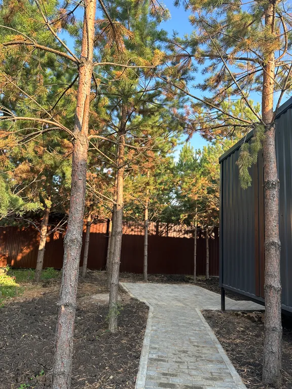 Добрый дом в соснах