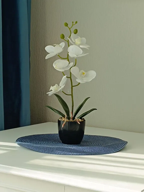 Видовая квартира рядом с морем