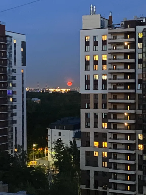 Квартира Современная, уютная 1-я квартира у метро Пионерская и Удельная — Санкт-Петербург