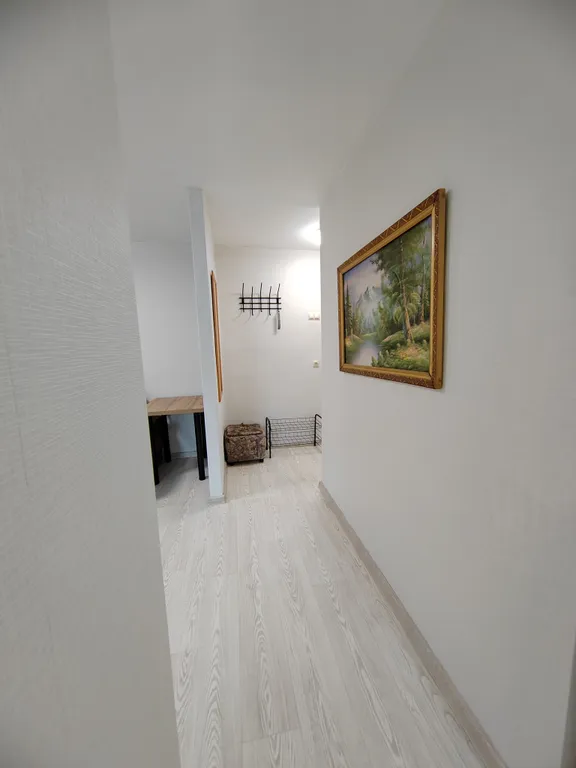 Уютная 1-комнатная квартира после ремонта