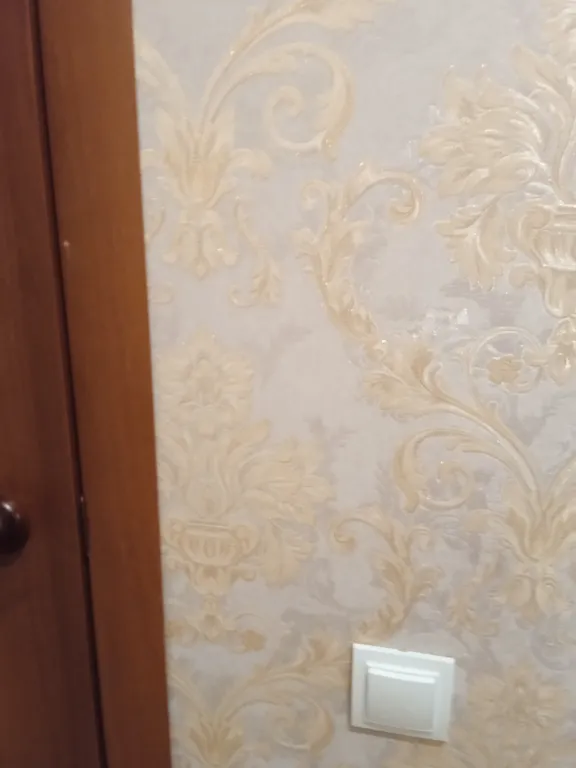 Большая квартира