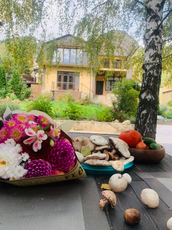 Дом с камином и баней на дровах в райском уголке