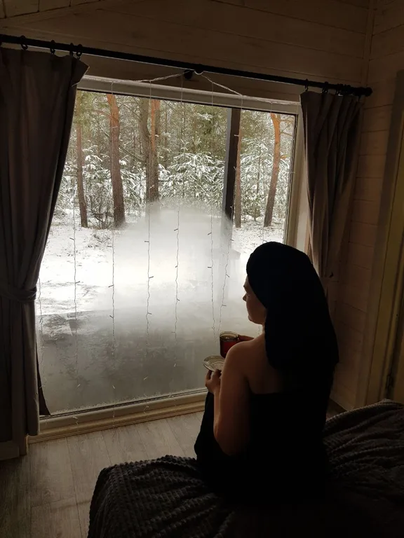 Дом в сосновом лесу