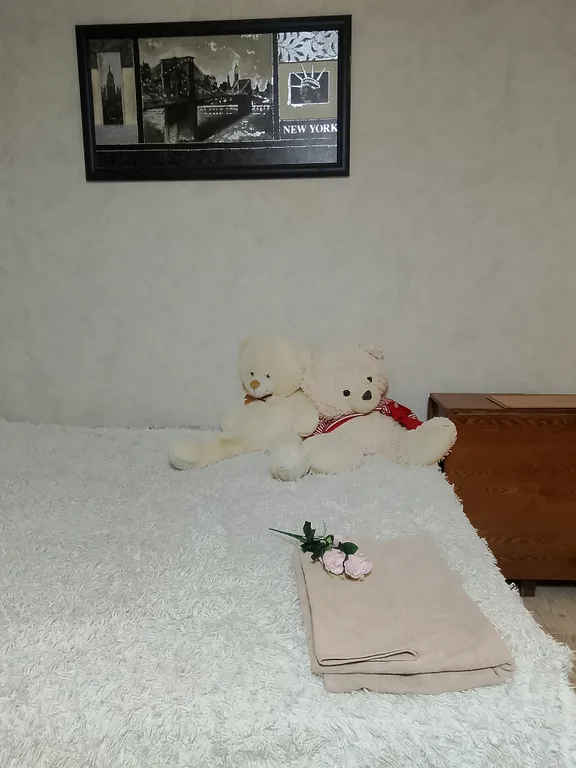 Уютная квартира в Донецком районе