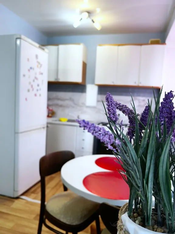 Квартира Квартира в центре города — Омск