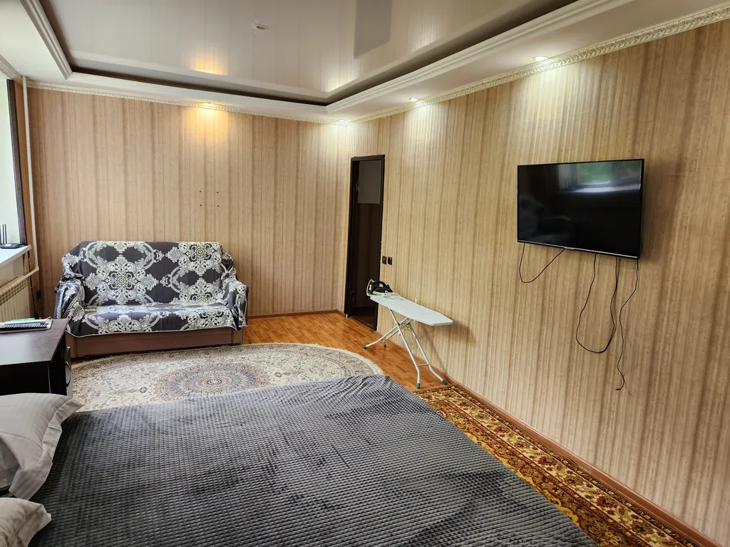 Однокомнатная квартира в центре города