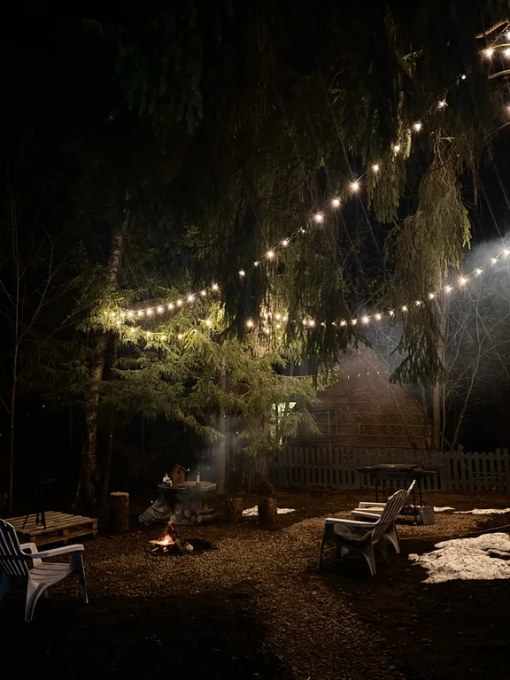 Дом с чаном и сауной в лесу