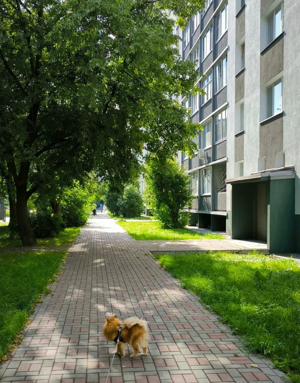 Квартира Уютная квартира напротив острова Канта. — Калининград