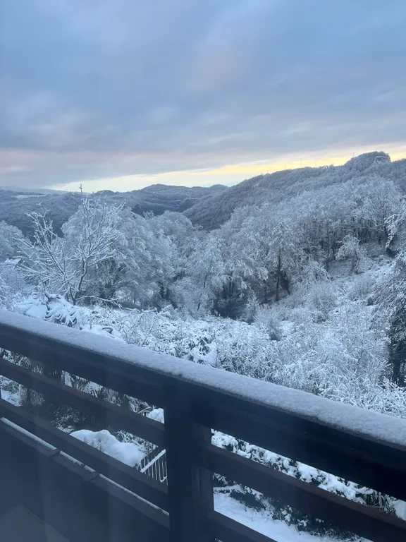 Коттедж Дом с видом на Скайпарк — Галицино