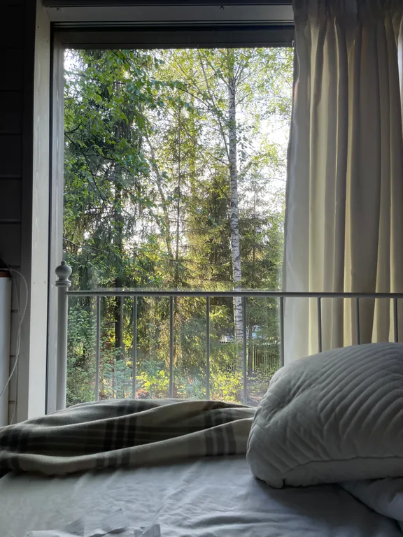 Уютный домик в ёлках