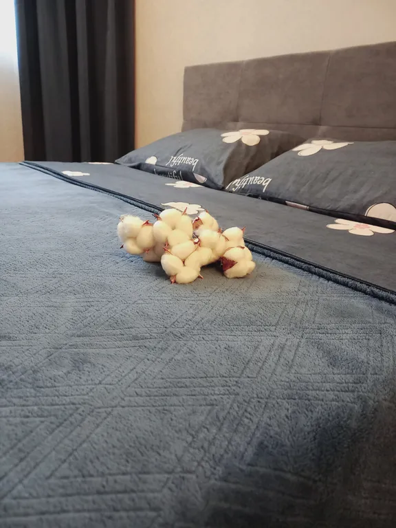 Квартира рядом с Ледовым дворцом