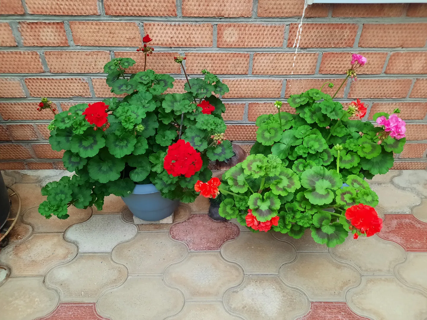 Фото