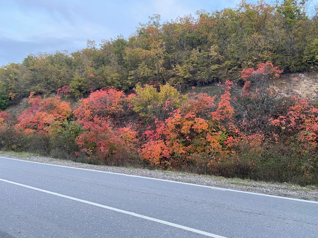 Уютная квартира в 5 минутах от Сулакского каньона