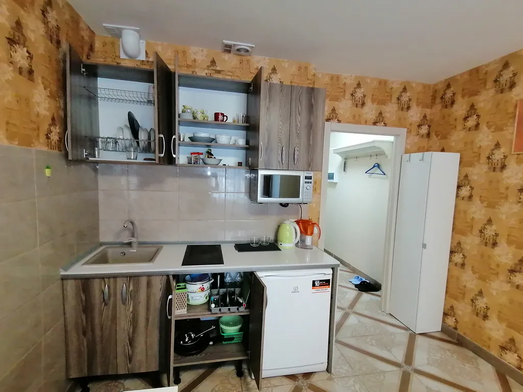 Студия у метро Девяткино