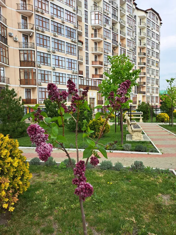 Квартира Квартира у моря ЖК Черноморский-2 — Геленджик