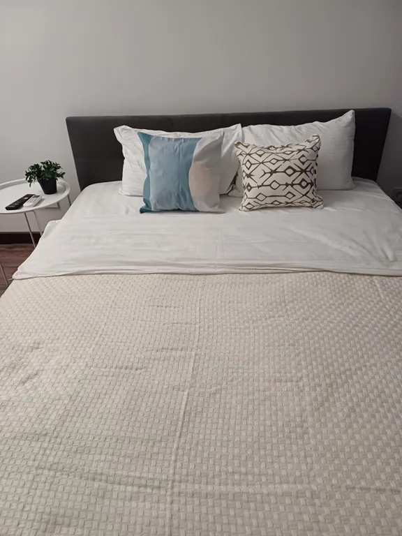 Квартира Уютное гнездышко — аренда посуточно в Пушкино