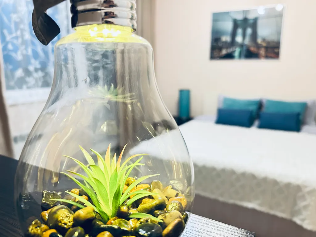 Евро двушка возле леса