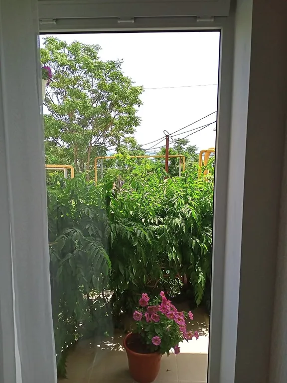 Апартамент Оранж – вариант для семьи или компании до 5 гостей