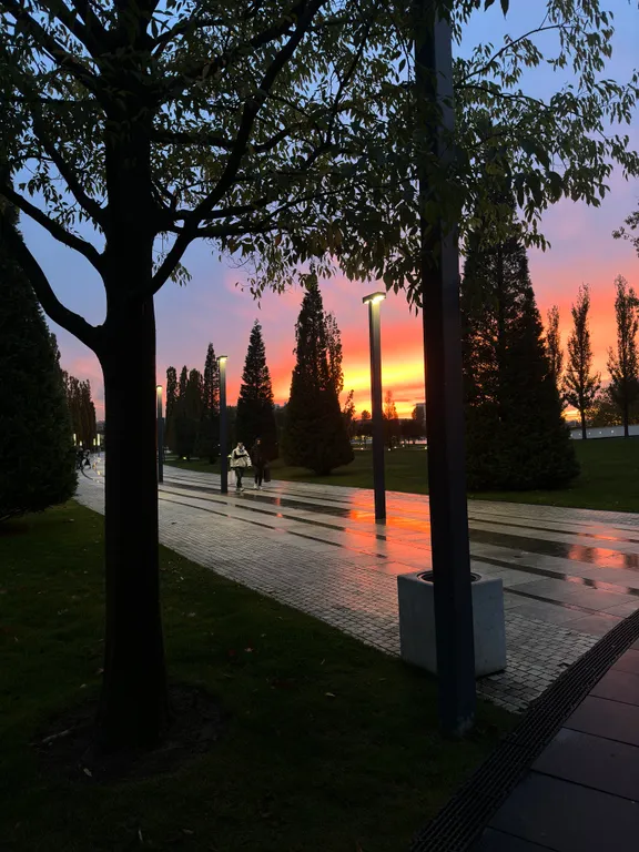 Уютная и чистая квартира с видом на парк Галицкого.