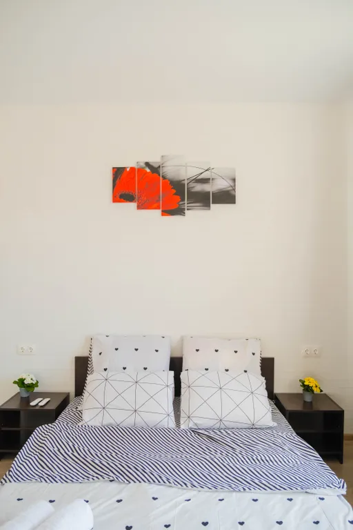 Апартаменты Евродвушка с новым ремонтом в центре города