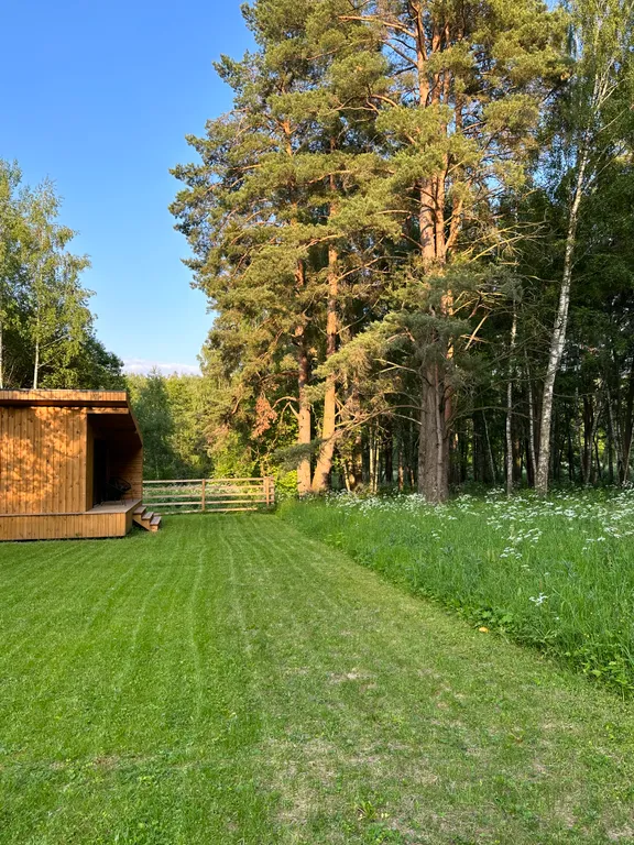 Сказочный домик в лесу