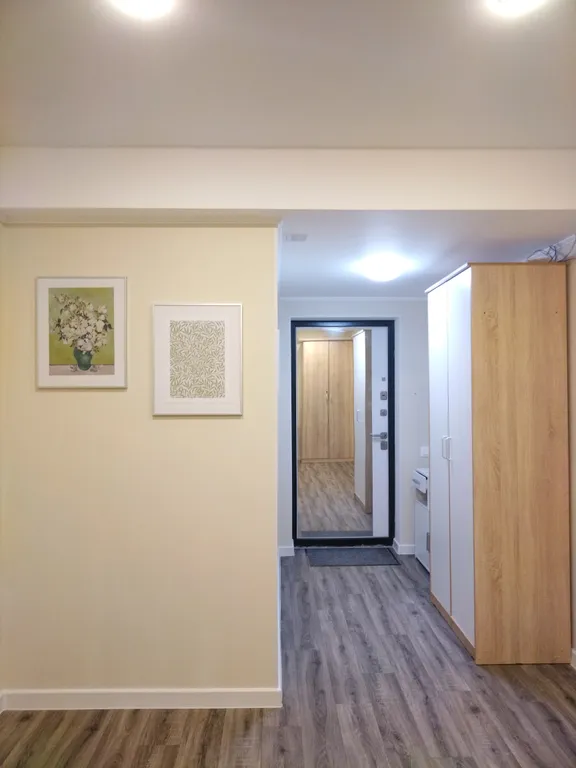 Большая современная 1-комнатная квартира