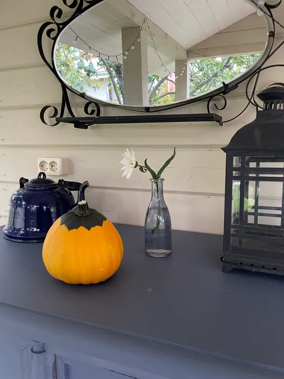 Дом из бревна