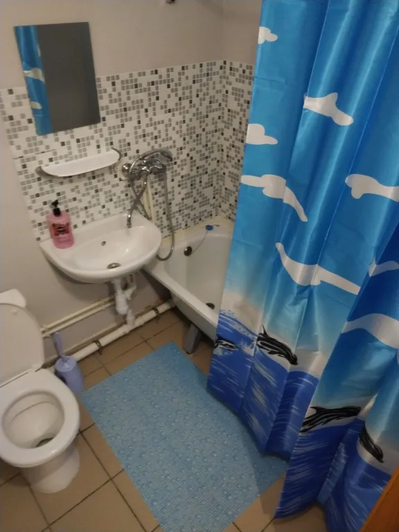 Квартира Большая квартира на набережной Енисея с пляжем — Красноярск