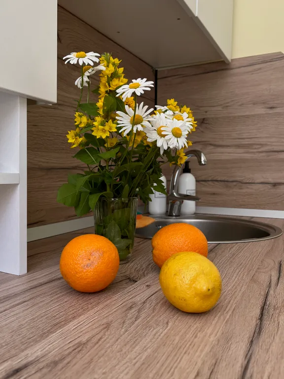 Квартира Квартира Уютная студия цитрус — Великий Новгород