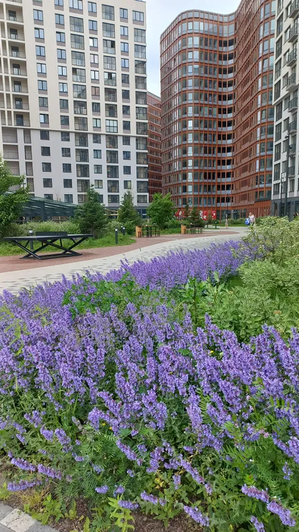Квартира 2-комнатная квартира, 3 кровати — Санкт-Петербург