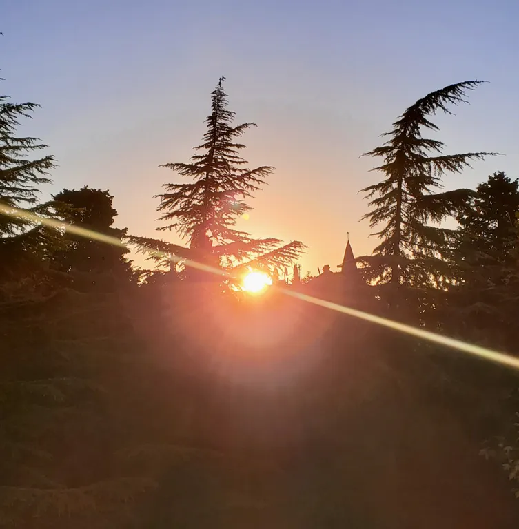 Современные апартаменты с живописным видом