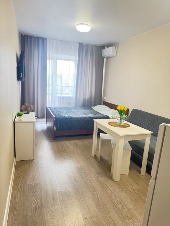 Квартира Уютная студия с Эко-Парком на территории — аренда посуточно в Хабаровск