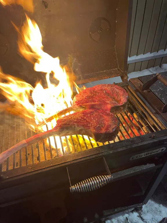 Коттедж Новогодний котедж в 30 минутах от центра Санкт-Петербурга — Сестрорецк