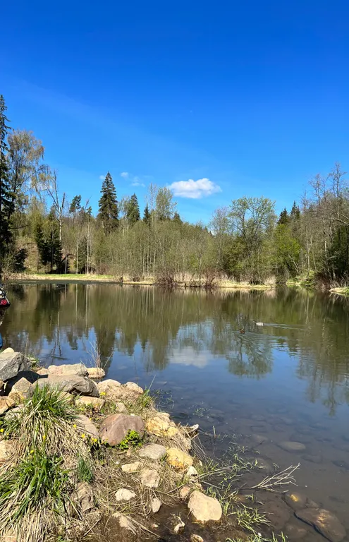 Уютная квартира в жилом комплексе Изумрудные Холмы