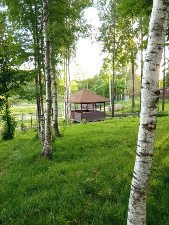 Коттедж Коттедж Лесной с видом на лес и реку — Агалатово