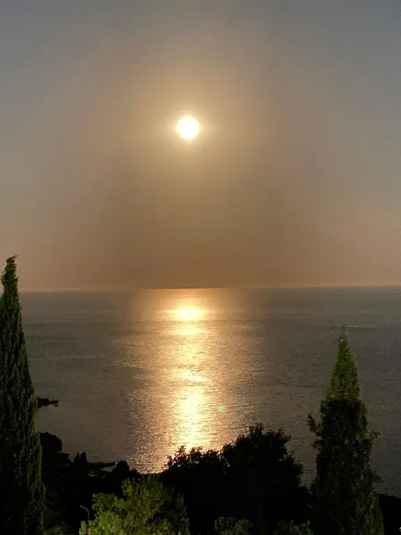 Гармония южного берега Крыма