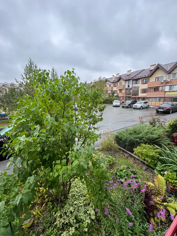 Уютная студия в экологичном районе для вашего комфортного отдыха