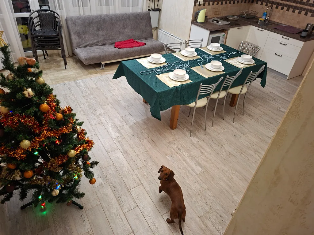 Дом без хозяев