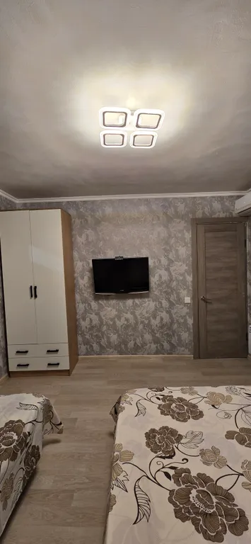 В тени киви